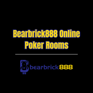 Bearbrick888 Online Poker Rooms - Logo - bearbrick888s