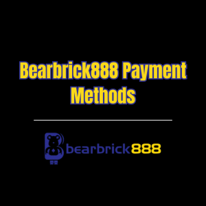 Bearbrick888 Payment Methods - Logo - bearbrick888s