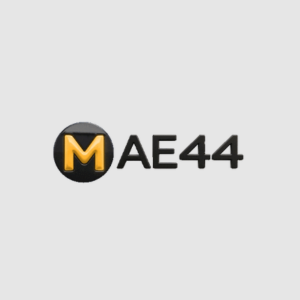 MAE44 - Logo - bearbrick888s